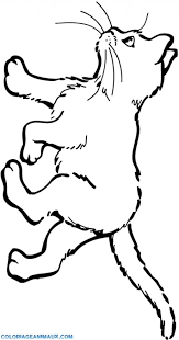 Coloriage Petit Chaton Qui Marche Coloriage Chat Coloriage Chaton Coloriage