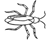 Color in this picture of a roach costume and others with our library of online coloring pages. Cockroaches Coloring Pages Coloringcrew Com