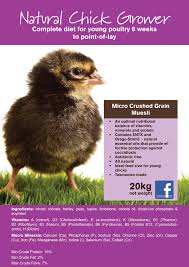 Keeping backyard poultry (chickens, ducks, geese, guinea fowl, and turkeys) is becoming more popular. Poultry Seed House