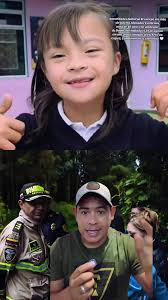 Cerca Viva Del Colegio Gimnasio Campestre Los Laureles Cajica