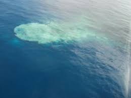 Nov 22, 2009 · ここで「南硫黄島附近に時々出没する島」とあるのは、海底火山の「福徳岡ノ場」（新硫黄島）のことであろう。 この海底火山は1904～05年の噴火活動で標高150mの新島を形成したが、すぐに海没してしまい、その後1914年にも再び標高120mの新島を形成したが. ç¦å¾³å²¡ãƒŽå ´ æµ·åŸŸç«å±±ãƒ‡ãƒ¼ã‚¿ãƒ™ãƒ¼ã‚¹ æµ·ä¸Šä¿å®‰åº æµ·æ´‹æƒ…å ±éƒ¨