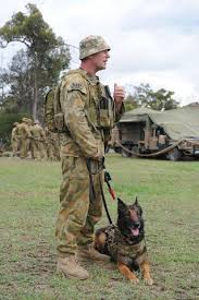 Alors, je serez tres interesser pour integrer l'armée de terre en qualité de maître chien. Animaux Soldats Page 7