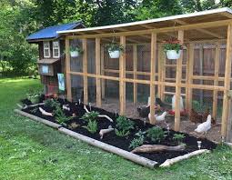 Cookoo That Works How To Keep Chickens Out Of Garden Chicken Garden Chicken Coop Run Chickens Backyard