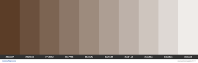 Tints Of Bracken Color 5b3d27 Hex Colorswall