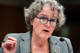 Tom Gates: Genius Ideas (mostly) by Liz Pichon