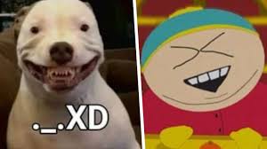 Xd es uno de los términos más usados en el chat, posts o comentarios en redes sociales, pero a pesar de emplearse durante varios años en internet. Que Significa Xd Y Cual Es Su Origen Tierragamer
