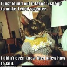 Image result for easter caturday meme