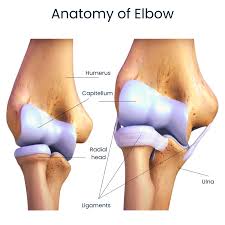 Image result for Elbow Joint Injection