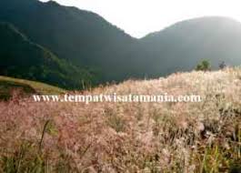 Obyek wisata curug citiis di padakembang tasikmalaya jawa barat adalah objek wisata air terjun yang terdapat di desa padakembang, kec padakembang, 20 km dari kota tasikmalaya. Wisata Citiis Garut Paling Trending Gerai News