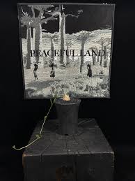 Image result for Trochomeria polymorpha