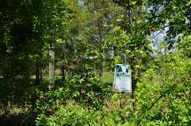 Proposed Annapolis golf course inside environmental conservation area draws  critics