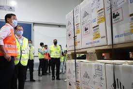 Have not travelled overseas in the last 14 days First Batch Of Covid 19 Vaccine Arrives In Singapore Latest Singapore News The New Paper