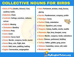 List Of Important Collective Nouns For Birds In English My English Tutors Collective Nouns Nouns Learn English