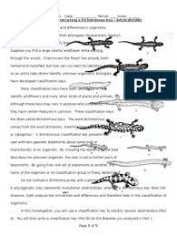 Dichotomous Key Lizard Dichotomous Key Protists Science Biology