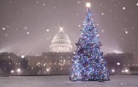 The Most Beautiful Christmas Trees 2019 Tree Merry Christmas Here Christmas In Dc Washington Dc Christmas Beautiful Christmas