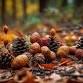Natural Crafting - Tree Cookie Mosaics event image