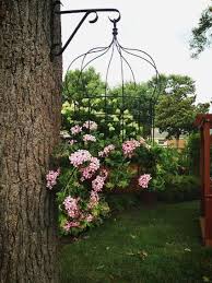 Brilliant Garden Birdcages Birdcage Planter Garden Container Gardening