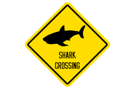 Download Shark Crossing Sign Svg Cut File By Creative Fabrica Crafts Creative Fabrica Yellowimages Mockups