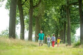 Twee jaar na die fietstocht stap ik weer in dit verleden rond via de route 'flirten met de grens in de vallei van het merkske'. Wortel Kolonie Kolonien Van Weldadigheid
