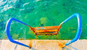 Leaves, berries, and other organic debris can leave stains if they're allowed to. Removing Metal Stains In Pools Aqua Doc Pool Clinic