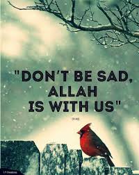 Allah Is With Us Alhamdulillah Islamic Quotes Quran Quotes Quran Verses