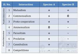 Commensalism Ammensalism Commensalism Ecosystems Trophic Level