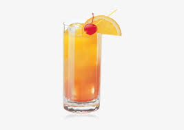 We did not find results for: Skinnygirl Sunrise Vodka Sunrise Cocktail Transparent Png 270x500 Free Download On Nicepng