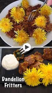 Dandelion Fritters Video Foraging Recipes Dandelion Recipes Herb Recipes