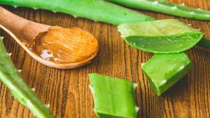 Entdecke rezepte, einrichtungsideen, stilinterpretationen und andere ideen zum ausprobieren. Bukan Cuma Buat Rambut Ini Manfaat Lain Aloe Vera Untuk Kecantikan Kulit