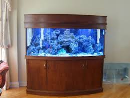 14 Splendid Diy Aquarium Furniture Ideas To Beautify Your Home Cuethat Aquarium Design Diy Aquarium Fish Tank Design