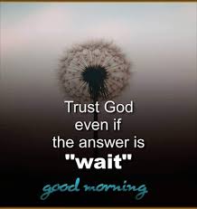 Every blessing ignored becomes a curse. Pin By Baby Parmar On Good Morning Quotes Good Afternoon Quotes Morning Inspirational Quotes Hindi Good Morning Quotes