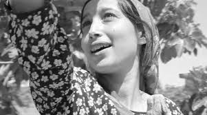 LIFF 2022 Catalogue by LeedsFilmFestival