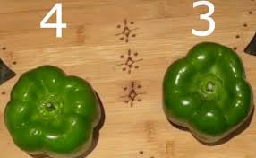 Male bell peppers, according to the theory, have only three lobes while female bell peppers have four. This Is How You Recognise A Sweet Bell Pepper