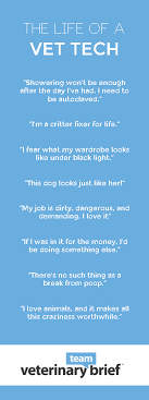 Pin By Caitlin Schnoor On Work Y Stuff Vet Tech Quotes Vet Tech Humor Vet Tech Student