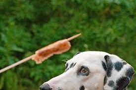 Check spelling or type a new query. Can Dogs Eat Hotdogs American Kennel Club