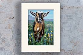 goat prints goat gifts goat art 8x10