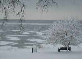 Winter In Library Park Lake Geneva Wi Lake Geneva Wisconsin Winter Lake