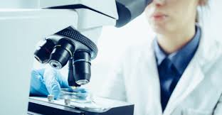microscopio