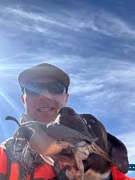 Introducing Trigger, a talented GSP bird dog