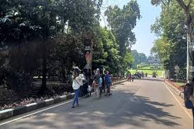 Taman tematik ini tepat berada di pintu masuk kebun raya batam (krb) di nongsa. Mulai Hari Ini Hingga 20 Juli 2021 Kebun Raya Bogor Ditutup