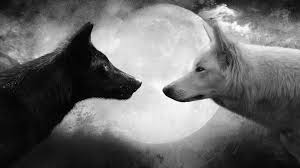 2301 black & white hd wallpapers and background images. Wolf Black White Moon Hd Wallpapers Desktop And Mobile Images Photos