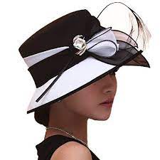 Pin By Daiana Souza On Hats Etc Hats For Women Fancy Hats Dress Hats