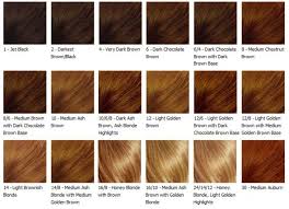 different shades of brown hair color chart find your