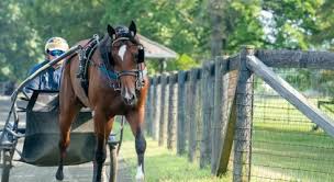 Succén fortsätter för 26-årige Marcus Melander