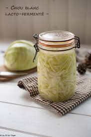 Chou Blanc Lacto Fermente Maison Au Fil Du Thym Recette En 2020 Aliments Fermentes Chou Blanc Choux