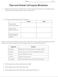 We did not find results for: Animal Plant Cell Inquiry Worksheet By Erin Frankson Tpt