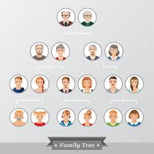 Check spelling or type a new query. Arbol Genealogico De Su Familia Stock De Ilustracion Ilustracion De Relativo Pares 58842770