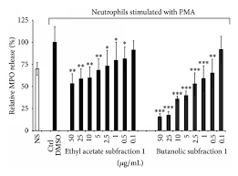 Image result for Agelanthus