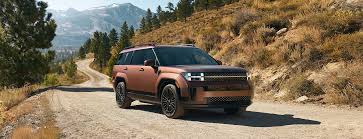 Image result for Dark Brown 2025 Fleet