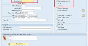 How To Trace Authorizations In Abap Cds Views To Trace Tracing Cds